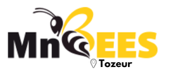 MnBees Tozeur - Tozeur